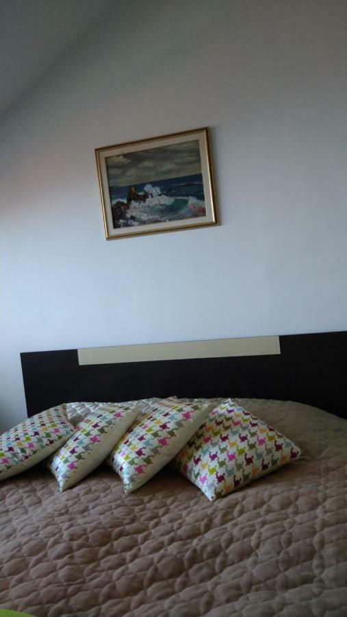Green Studio Chamkoriya Borovets Luaran gambar